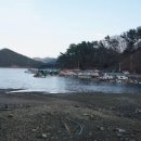 숲속 나들이 펜션 이미지