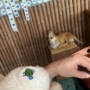 거북펜션 이미지