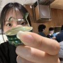 볼하이