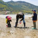 다대어촌체험휴양마을 이미지