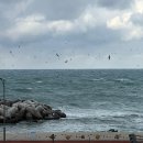 우진마트 | 으뜨미 • 아부오름 • 말방목공원 • 픽업 • 미친부엌 • 우진해장국 별관 캐치테이블 • 찐켓팅 성공