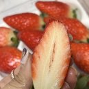 과즙팡팡 | 역시 설향! 충남 논산 딸기 맛 인정 👑 과즙 팡팡 후기(feat. 달달하지 에서 구매)