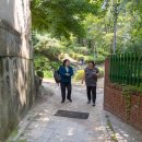 오동근린공원 이미지