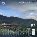 백로사우나 | 부산 근교 골프장 용원CC 1부 후기 | 백로 무학 코스 직접 라운딩 해보니
