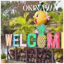 파인애플 | 오키나와 나고 파인애플파크 아이랑 입장료 시간 후기