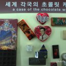 초콜릿 박물관 이미지