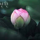 경기도 수원시 팔달구 권광로364번길 | 수원 점집, 옥천선원 위치정보