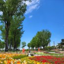 증평대교 앞 이미지