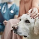 이온메디칼 이미지