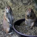 애완동물원 이미지