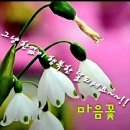 행복한의료기 이미지