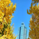 서울숲11 이미지