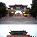 질풍경초