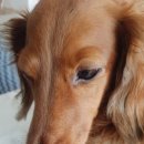 개발바닥 이미지