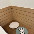 카페마일로안락좋은날에드라마여성