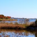 영랑호 입구 이미지