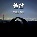울산 야경 명소 추천 북구 무룡산 가는 방법 주소 꿀팁