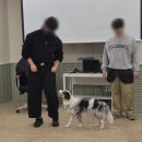 반포동애견행동교정사학원 다녀오고 생각 바뀐 후기