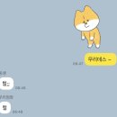 민술농장 | 🇦🇺 농장 일상 : 민용적 사고로 살아가는 매일