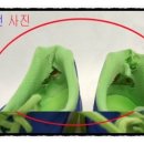백운수선