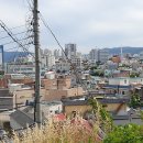 산호동109 이미지