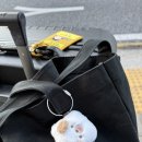 오페라약국 | ICN, TW501, SYD, 샹그릴라 시드니, MCA카페, 록스마켓, 서큘러 키, 오페라 하우스, Messina (25.01.25-26)
