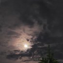 달이 비추는 곳 이미지