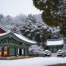 설창 | 설창(雪敞)의 선운사, 마음의 부채