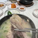 진미원 | 연산동 삼계탕 맛집 진미원 후기