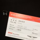 2024 부산국제영화제 BIFF 후기 뭐 그런 거