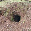 제주 사라봉 일제동굴진지 이미지