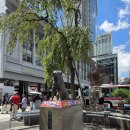 도쿄 아일랜드 씨 이미지