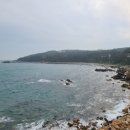 꽃바위아구찜 이미지