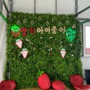 도영농원