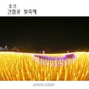 비밀정원12 이미지