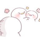 이자카야라온 이미지