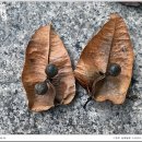 늘봄웰봄 이미지