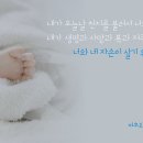 새일과새시대