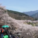 하동 이미지