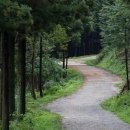 바람처럼구름처럼 이미지