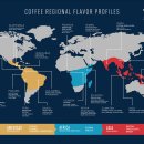 [야간]커피바리스타 이미지