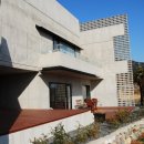 트로피칼드림 이미지