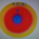 프쉬케(PSUCHE)