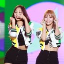 모모 이미지
