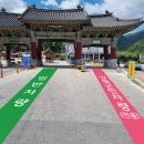 용문산 관광지 이미지