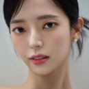 더플랜에이치
