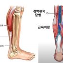 크로스핏펀앤팸 네이버블로그