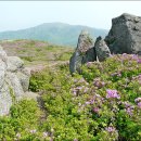 겸백면사무소 이미지