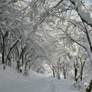 오랍드리 이미지