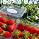 옹골농장 이미지